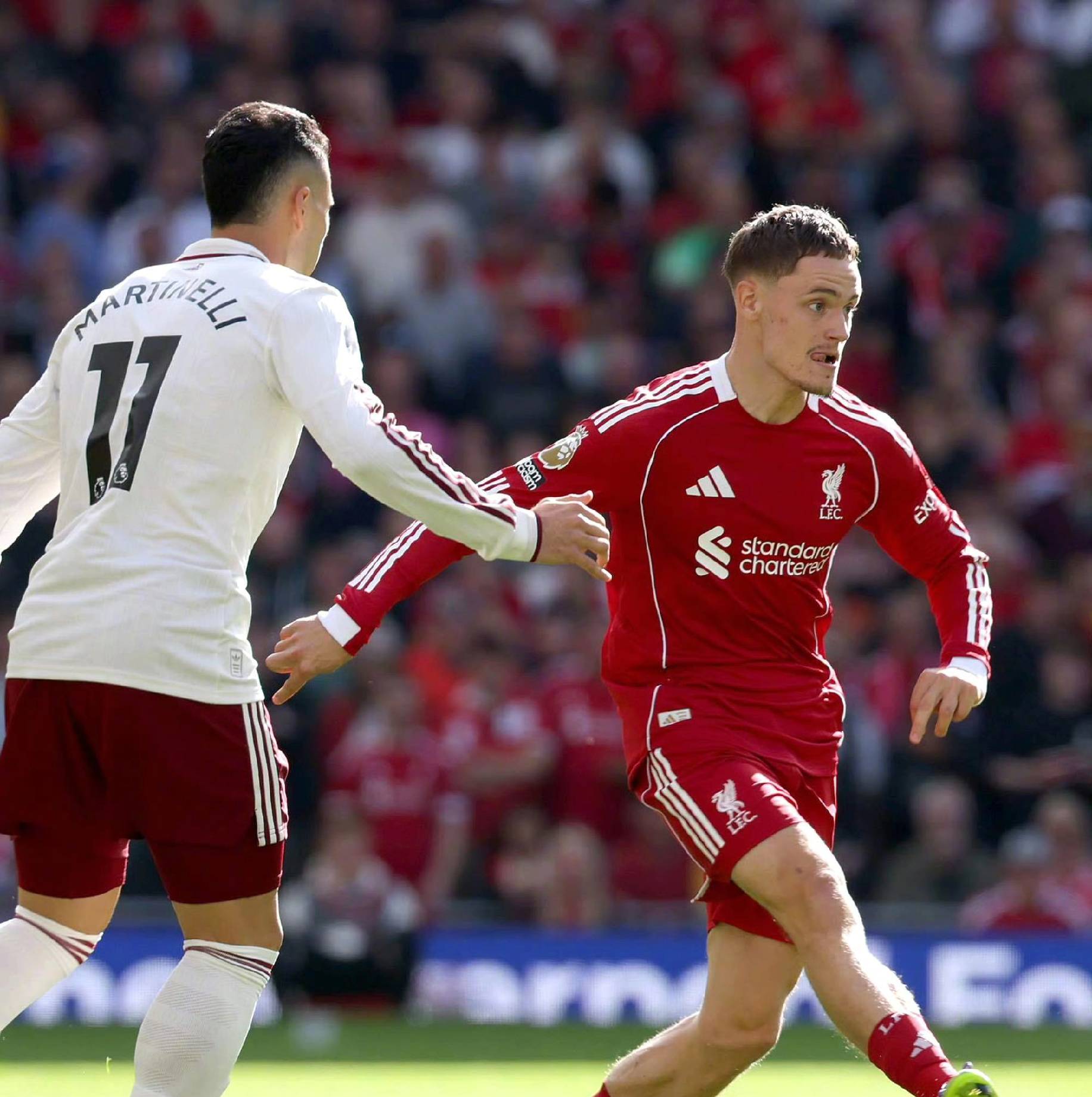 较为完善 较为完善