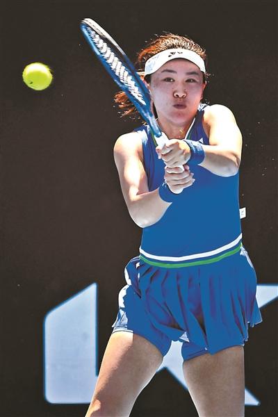 较高比例 较高比例